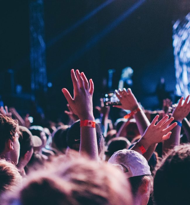 Festival-fans