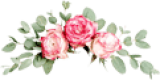 flowers-slider-txt-element.jpg flowers-slider-txt-element.jpg